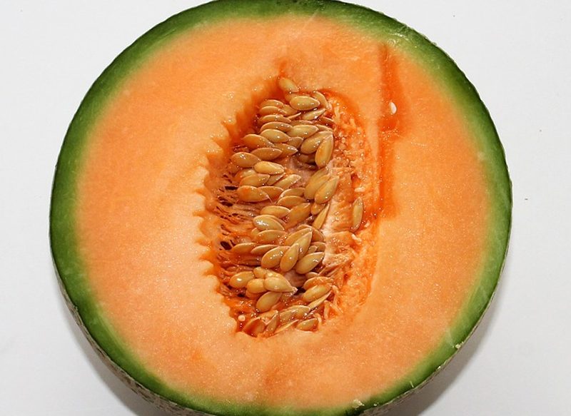 ABONO PARA PLANTAS