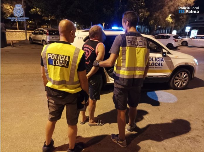 Los policías piden que se elabore una herramienta para conocer los antecedentes judiciales de ladrones reincidentes.