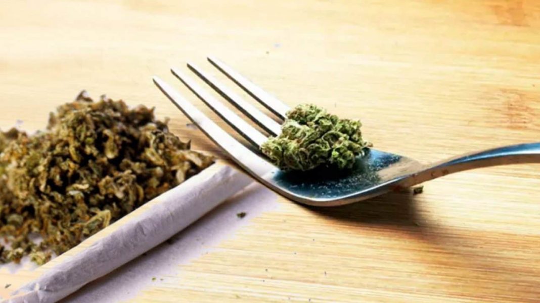 El primer contacto con Dios estuvo en los alimentos