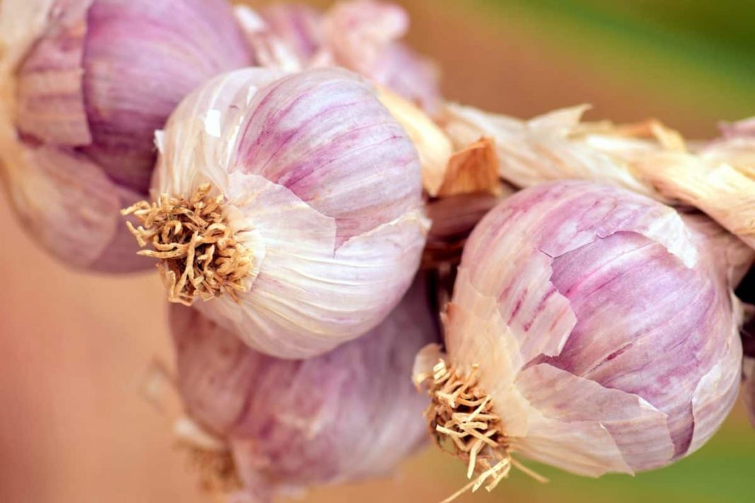 picar verduras macarrones