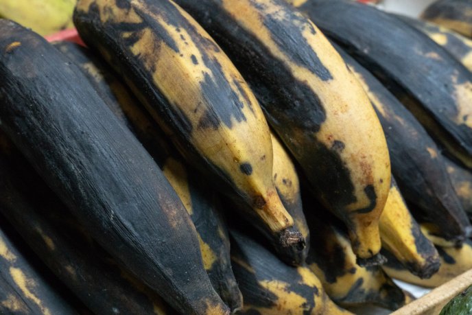 platano