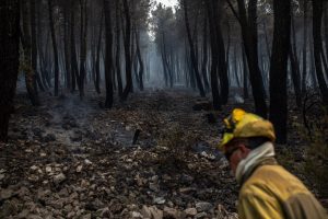 Un bombero trabaja en la extinción del incendio en la Sierra Culebra (Zamora), junio de 2022 | Europa Press