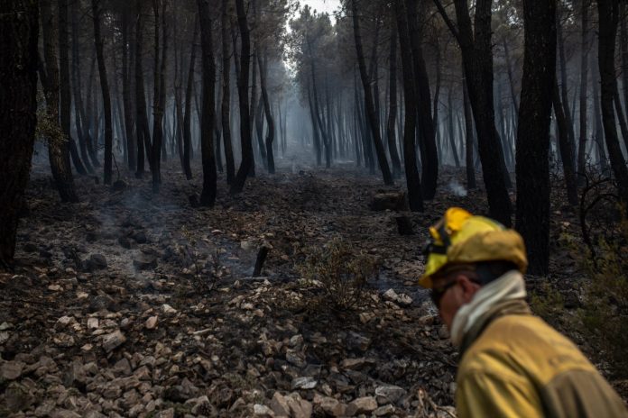 Un bombero trabaja en la extinción del incendio en la Sierra Culebra (Zamora), junio de 2022 | Europa Press