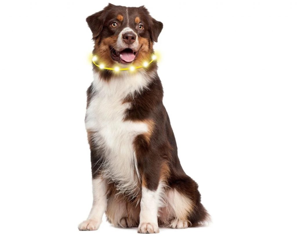 Collar de tubo con LED para perro