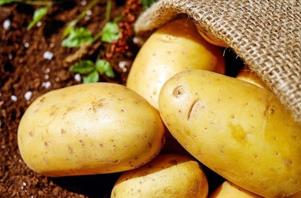 rollo de patatas