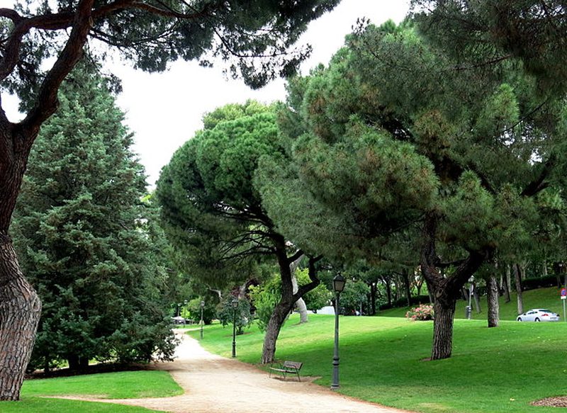 PARQUE DEL OESTE, UNO DE LOS MEJORES LUGARES PARA UNA PRIMERA CITA EN MADRID