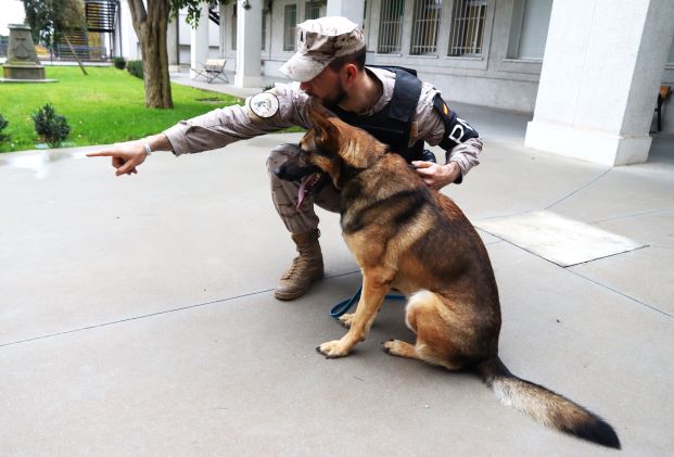 <strong>La Infantería de Marina española reúne la élite de las unidades caninas españolas</strong> 3 Moncloa 1IMG 2553 copia Moncloa