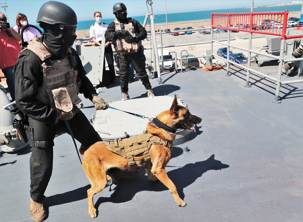 <strong>La Infantería de Marina española reúne la élite de las unidades caninas españolas</strong> 1 Moncloa 2 PERRO FUPRO NAVIO Moncloa