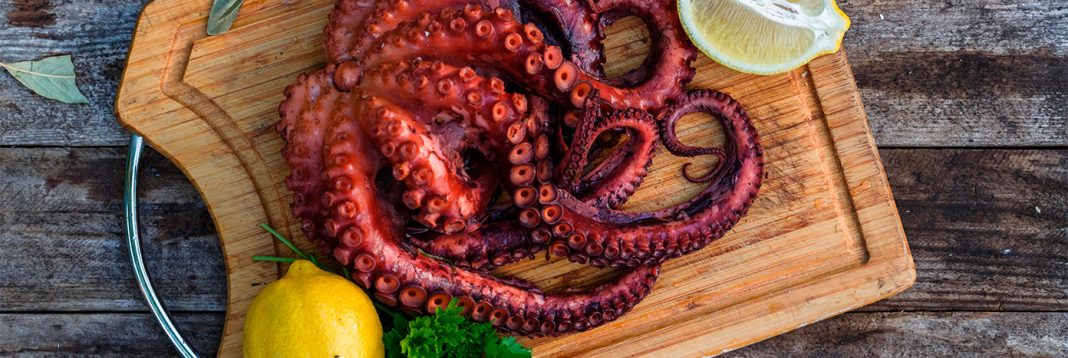 ingredientes pulpo ajillo