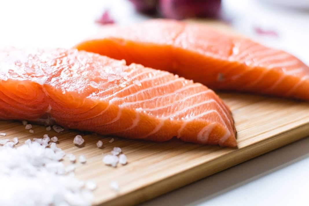 salmon dieta