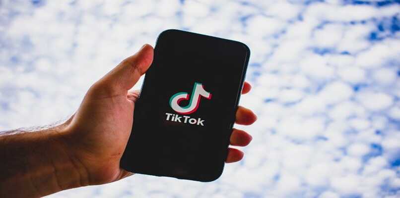 tiktok amigos