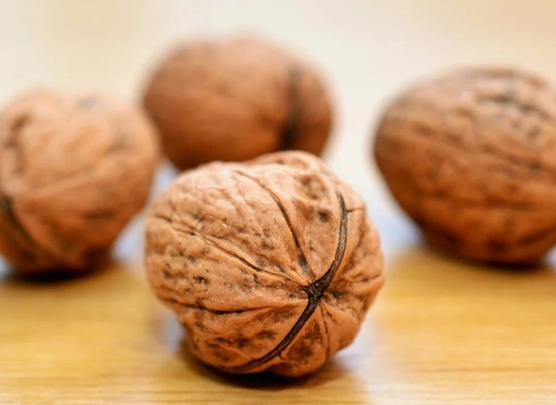 COPOS DE AVENA Y NUECES