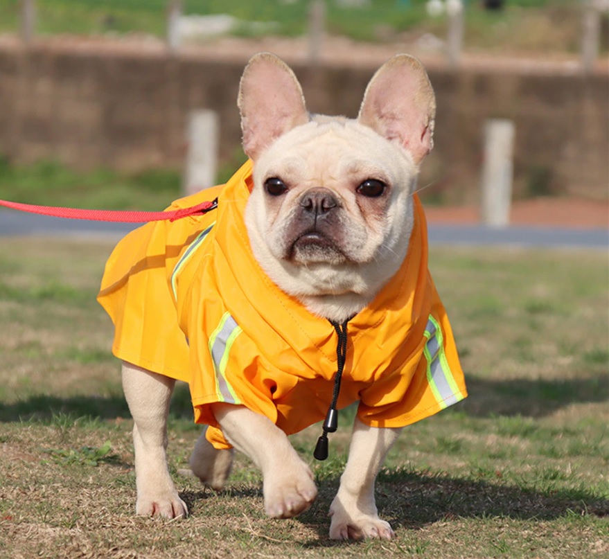 chubasquero perro