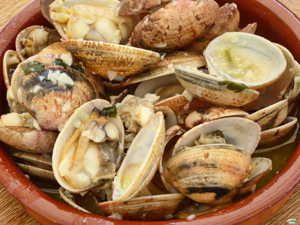 consideraciones generales sobre la receta