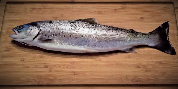 pescado omega 3