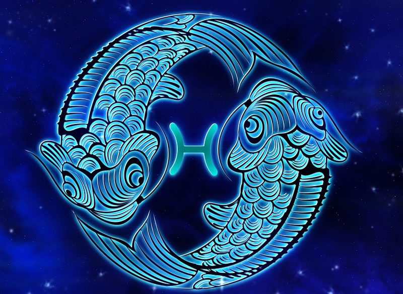 LA FAMILIA TAMBIÉN CRECE PARA OTRO DE LOS SIGNOS DEL ZODIACO: PISCIS