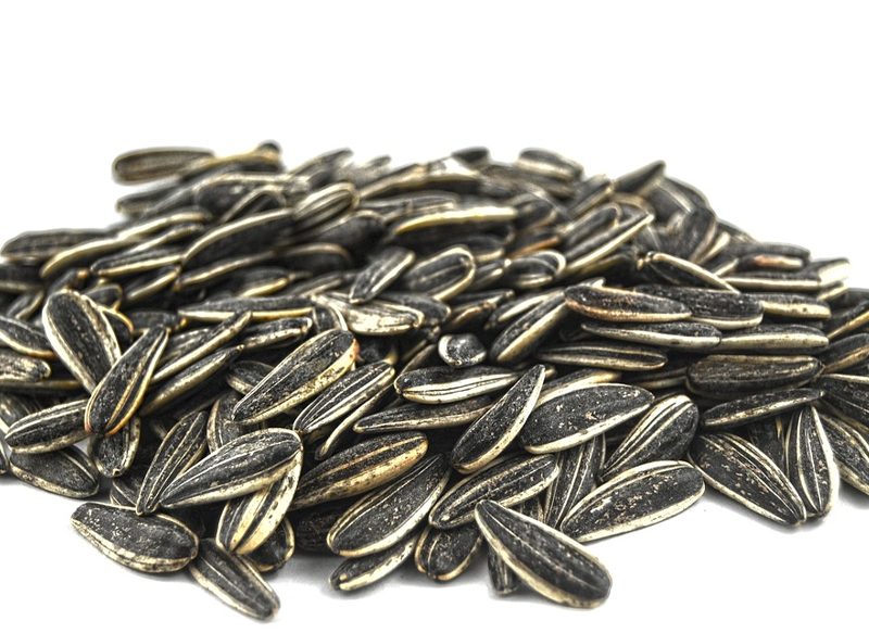 LAS CÁSCARAS DE PIPAS AYUDAN A NUTRIR EL CABELLO