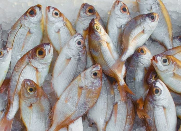 Lo dice la OCU: este es el peor supermercado para comprar pescado