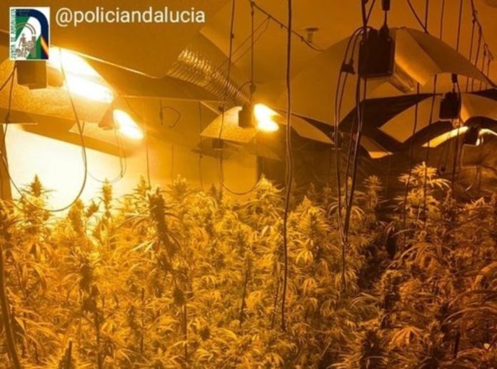 Imagen del piso invadido por los okupas donde cultivaban marihuana.