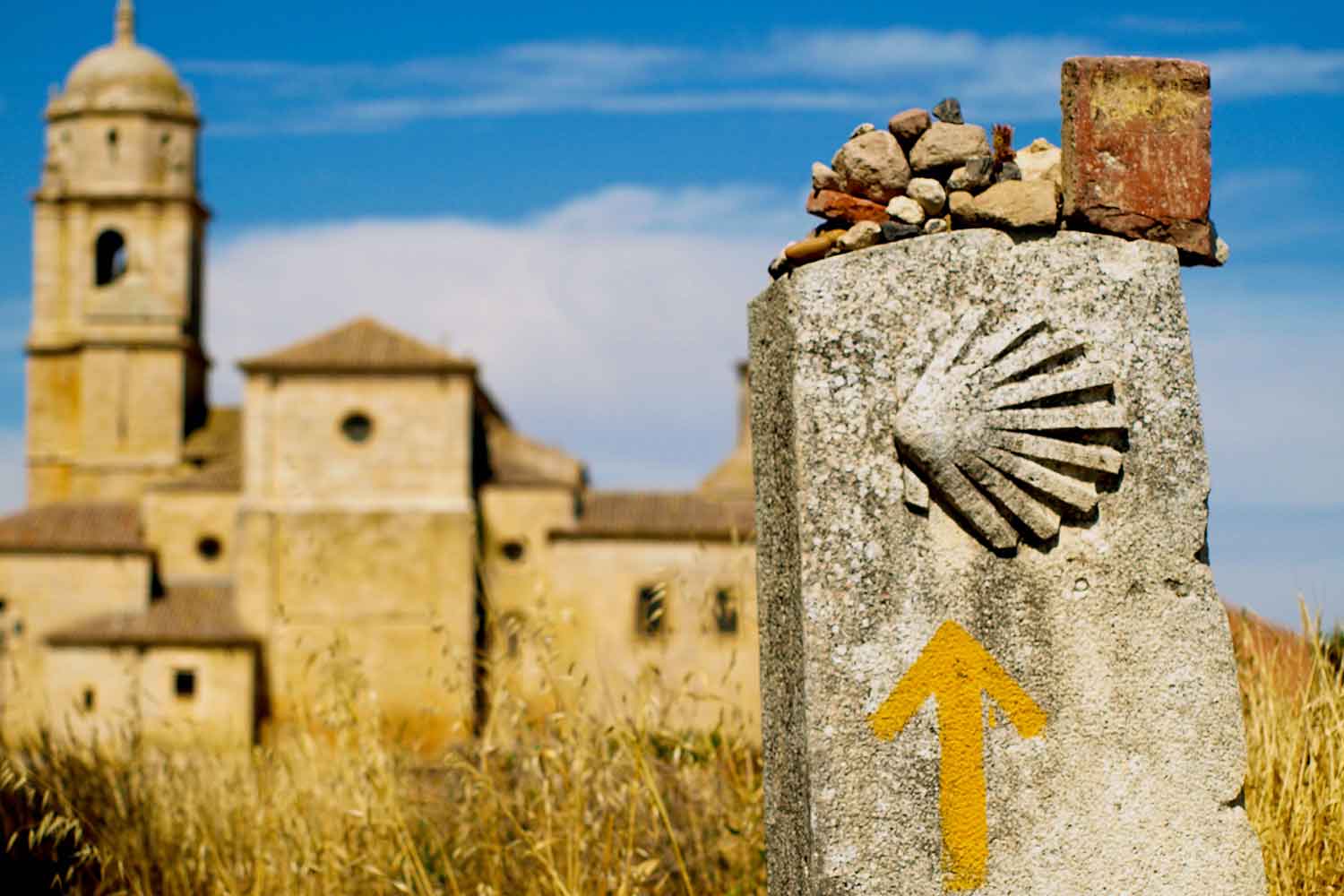 El camino de Santiago
