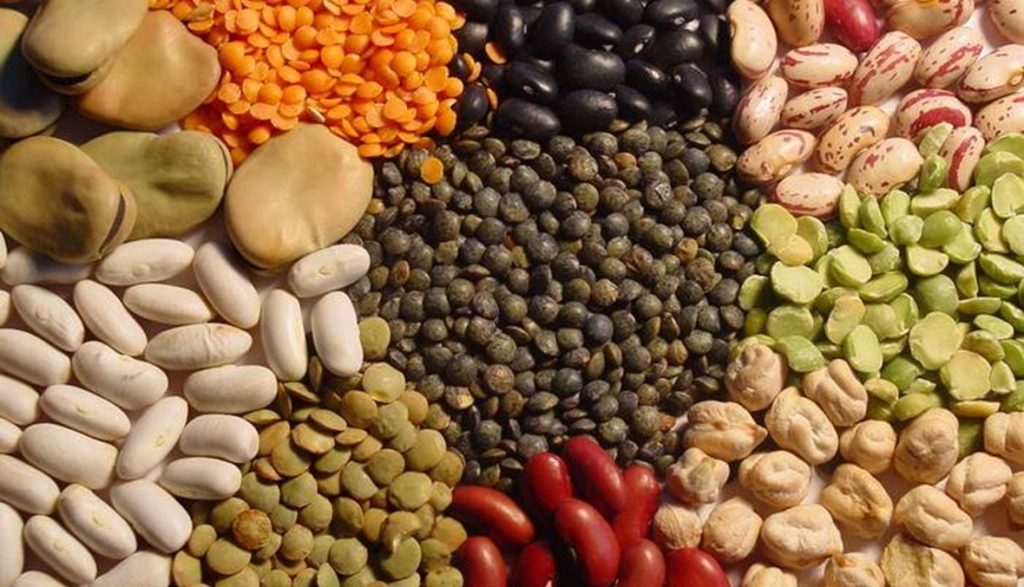 Piel radiante: 7 alimentos que debes incluir en tu dieta ahora mismo 3 Moncloa legumbres