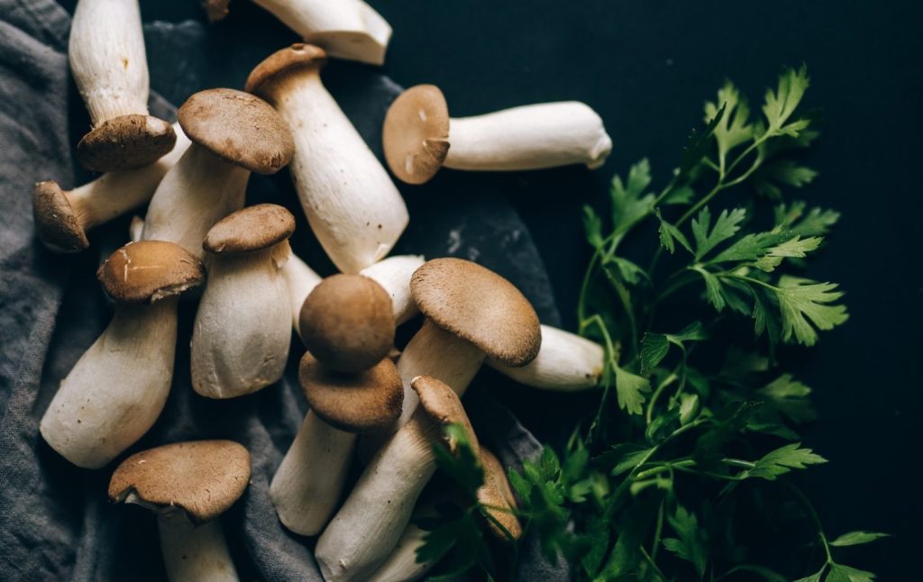 Boletus al ajillo: la mejor receta de setas para disfrutar esta Semana Santa 4 Moncloa setas