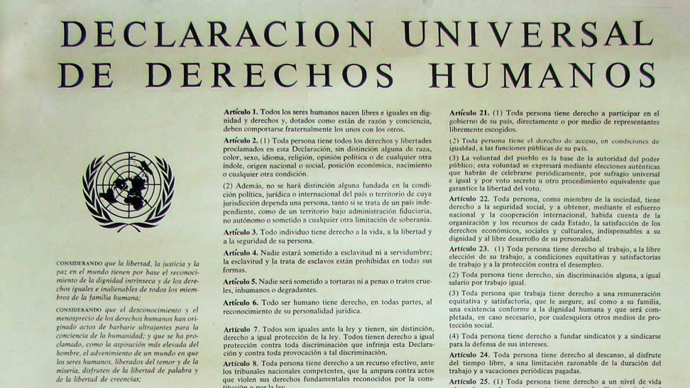 Declaración Universal de Derechos Humanos