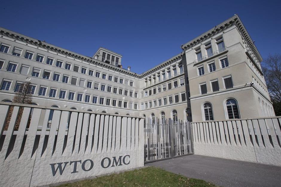 El Establecimiento de la OMC