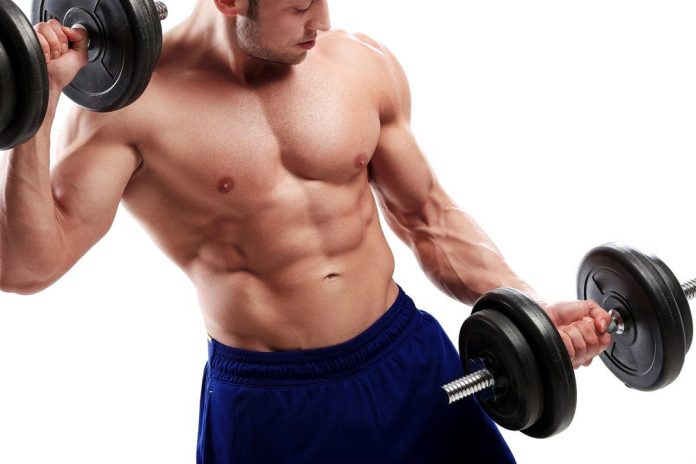 Ganar masa muscular
