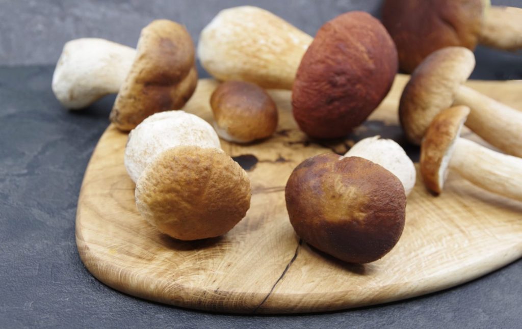 Boletus al ajillo: la mejor receta de setas para disfrutar esta Semana Santa 6 Moncloa setas