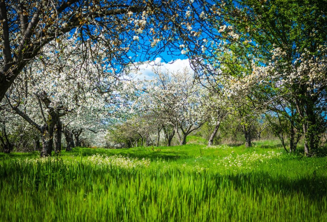 como sera esta primavera