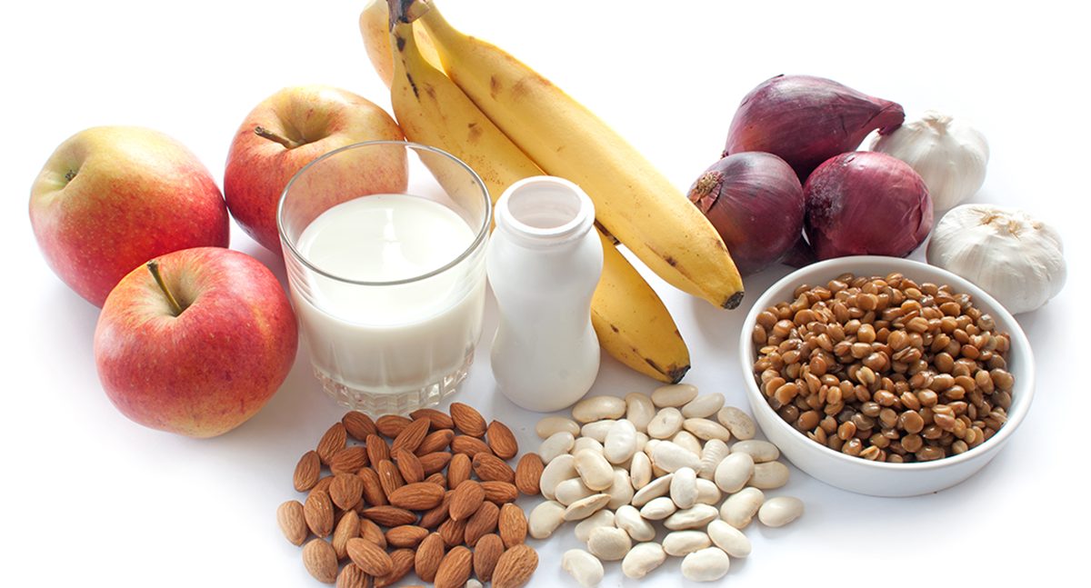 Los beneficios de los probióticos para la salud intestinal 4 Moncloa ¿Quién debería tomar probióticos?