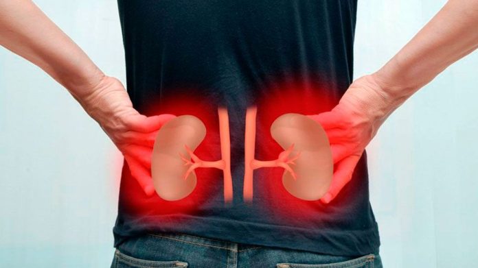 enfermedad renal