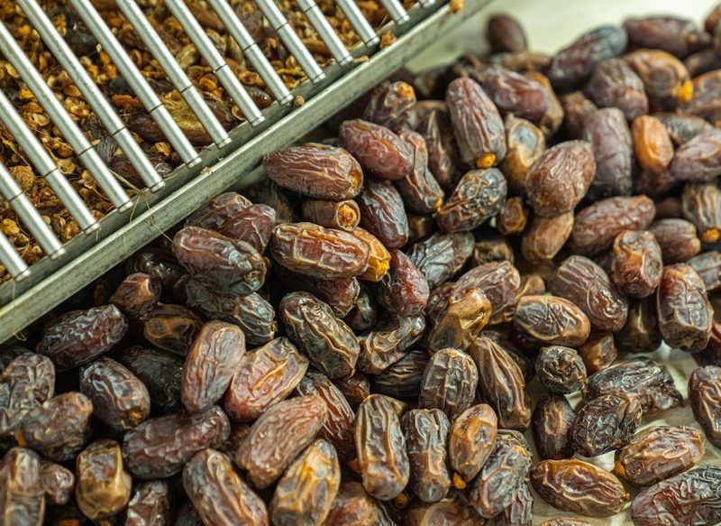 LOS DÁTILES Y SUS MÚLTIPLES BENEFICIOS PARA LA SALUD