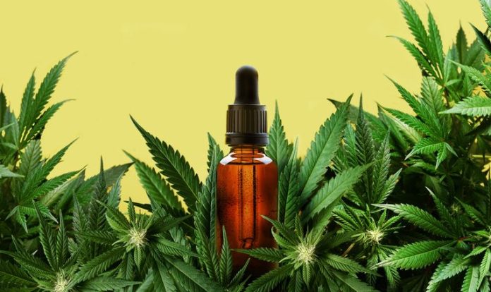 cannabis_light_spain
