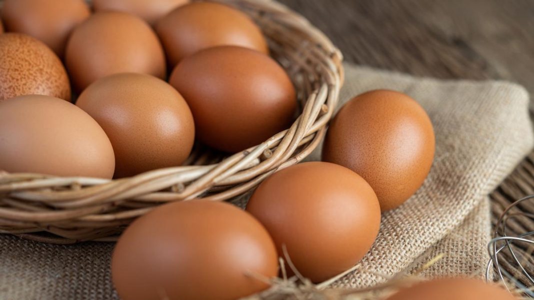 alimentos