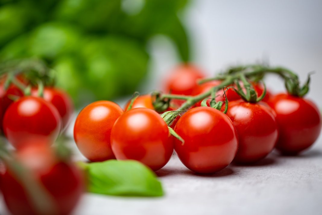 ingredientes salsa tomate y albahaca