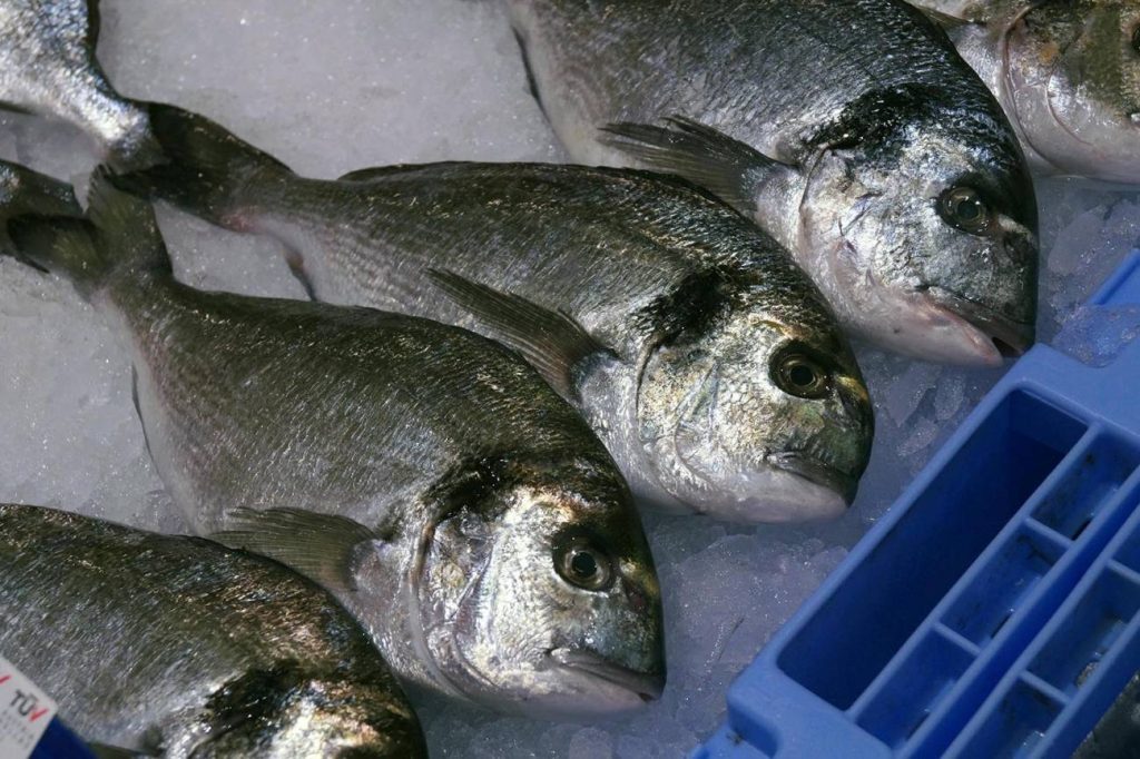 La OCU revela el supermercado líder para comprar pescado es excepcional 2 Moncloa pescados Moncloa