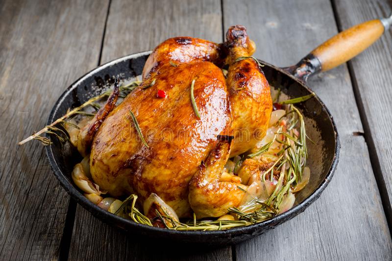 pollo
