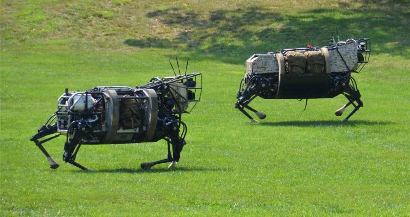 bigdog robot perro