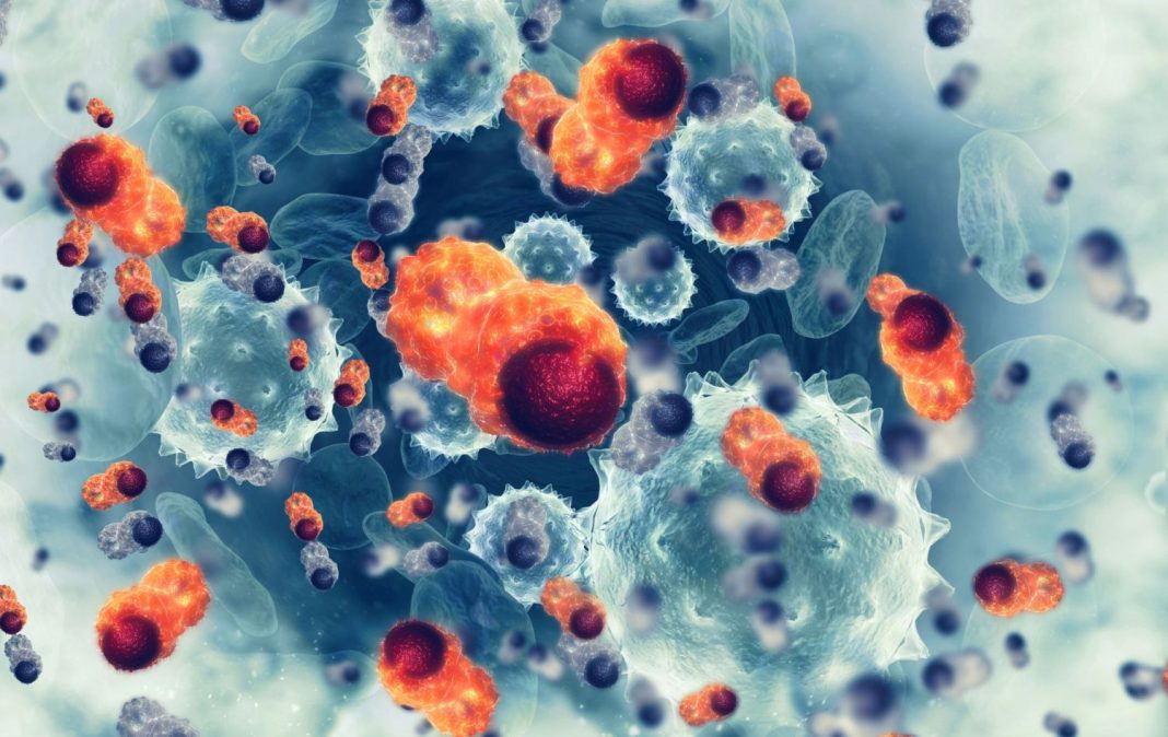 cáncer