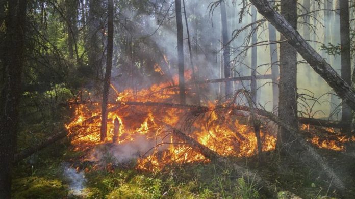 incendios kazajistan