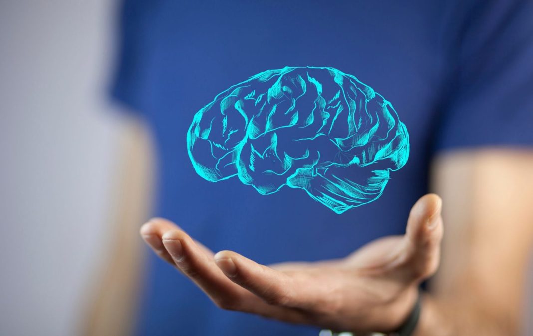 cerebro