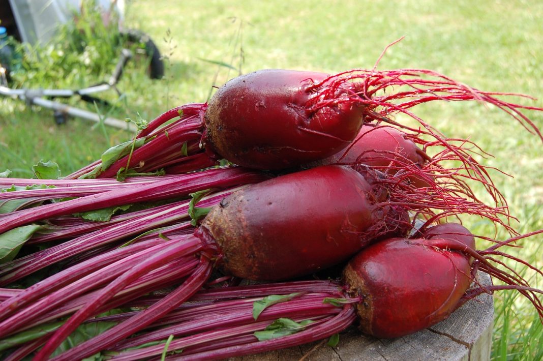 protagonistas gazpacho rosa