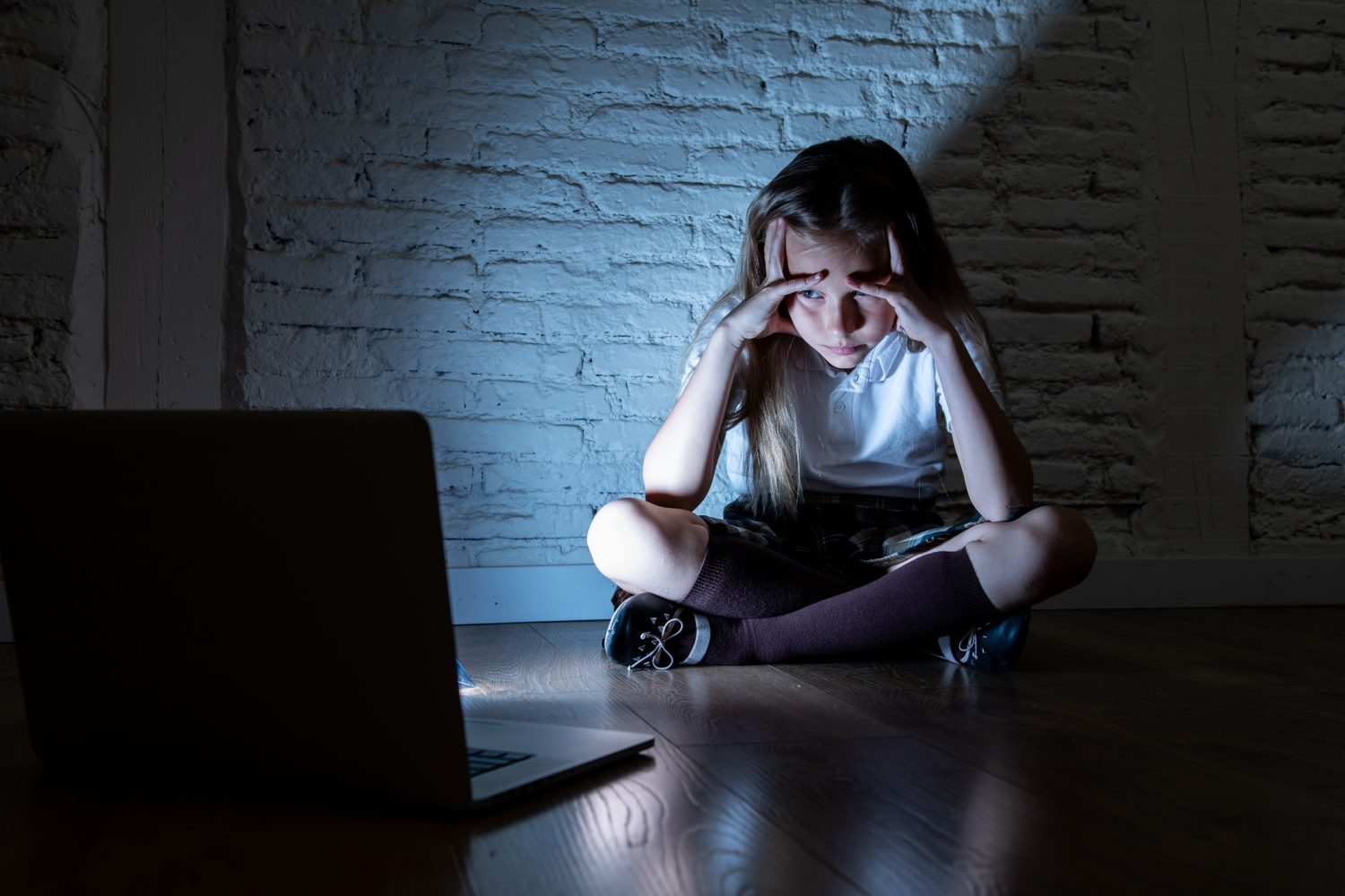 Acoso informático: 6 peligros para la salud mental 1 Moncloa ¿Qué es el acoso informático?