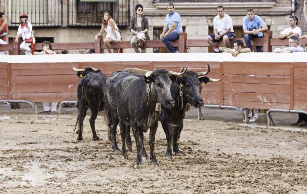 San Fermín