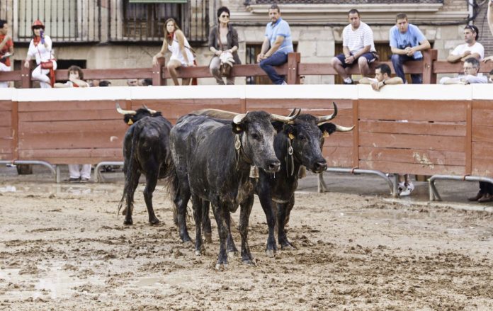 San Fermín 2023 todo lo que tienes que saber sobre la gran fiesta vasca (3) San Fermín