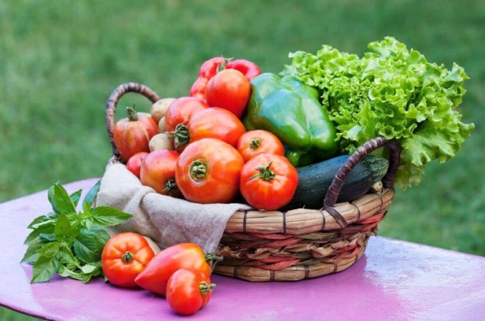 alimentacion