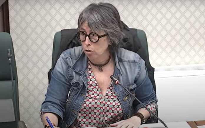 La directora general de la Dirección General de Atención a la Infancia y la Adolescencia (DGAIA) de la Generalitat, Ester Cabanes