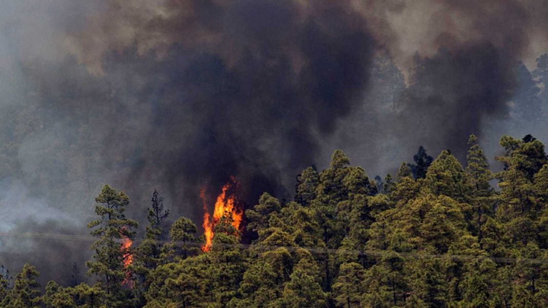 Incendios